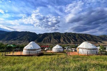 Yurt Camp